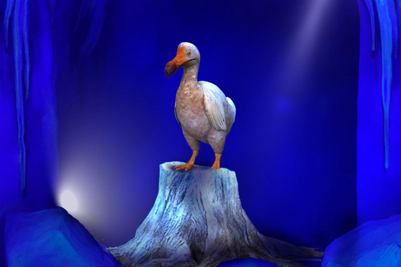 仿真動(dòng)物-渡渡鳥(niǎo)