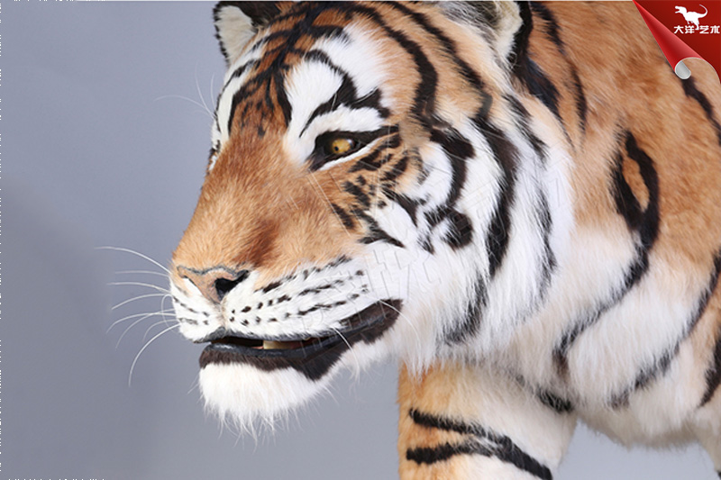 仿真老虎,仿真貼毛動物制作