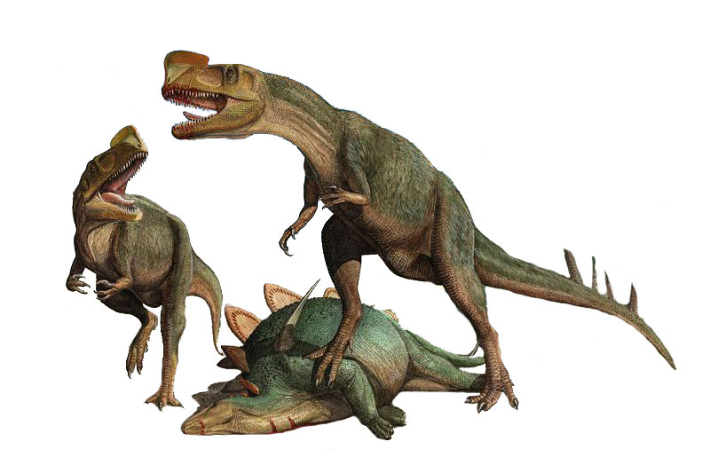 恐龍樂園設(shè)計效果圖