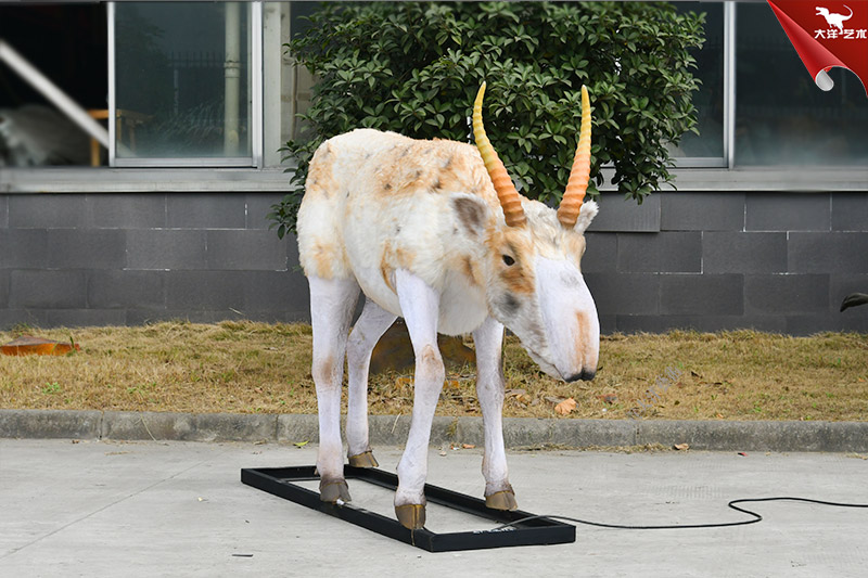 仿真動物模型 高鼻羚羊模型