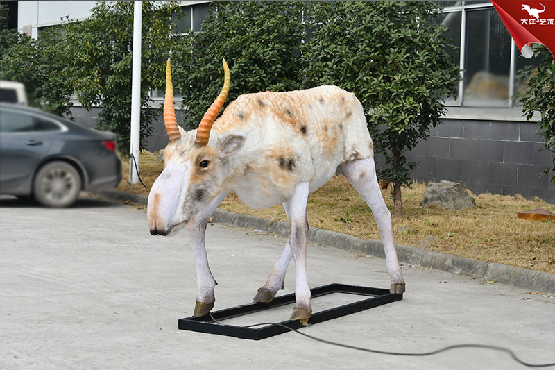 仿真動物模型 高鼻羚羊模型