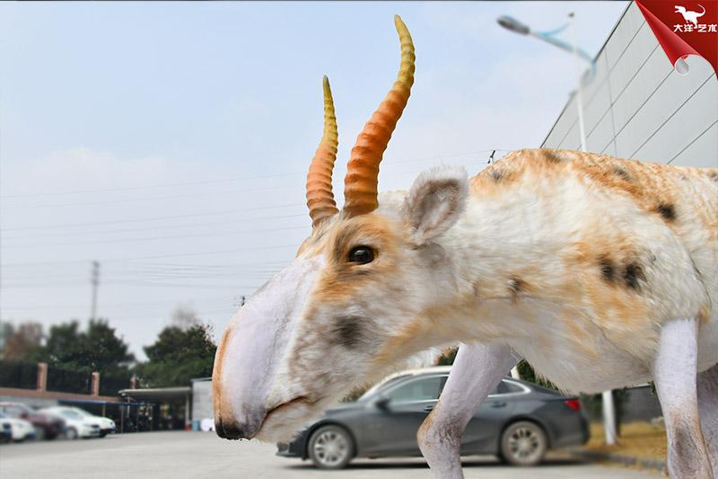 仿真動物模型 高鼻羚羊模型