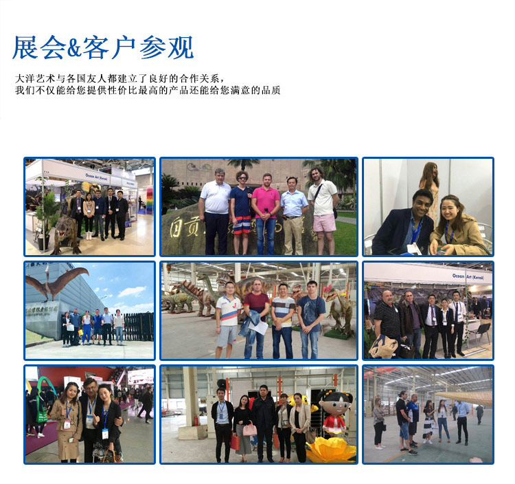 大洋恐龍服，恐龍服案例